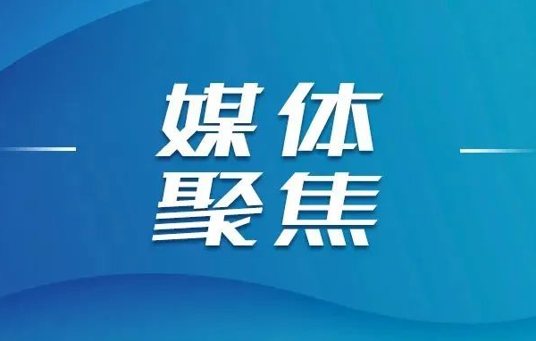各大媒体关注山东重工集团上半年经营业绩再创新高